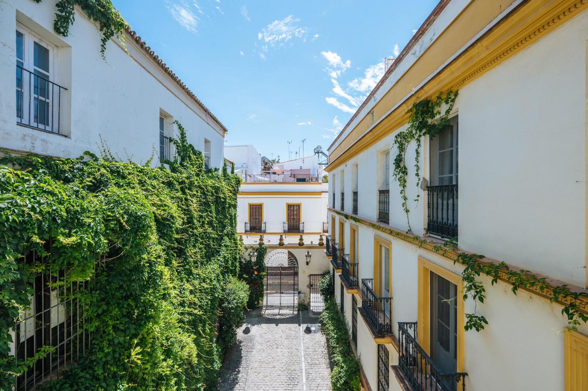 Novalia Sevilla
