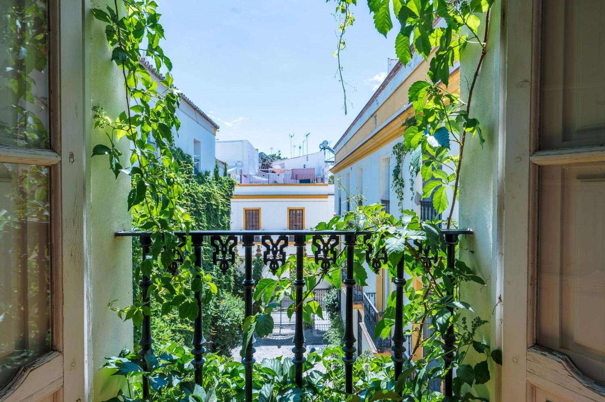 Novalia Appartement