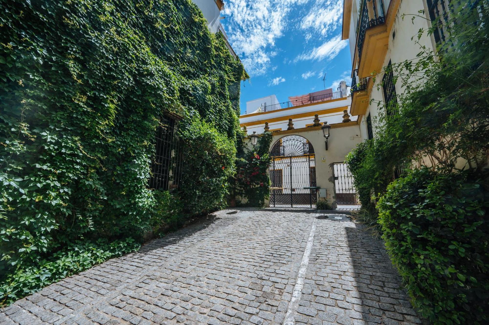 Apartment Novalia