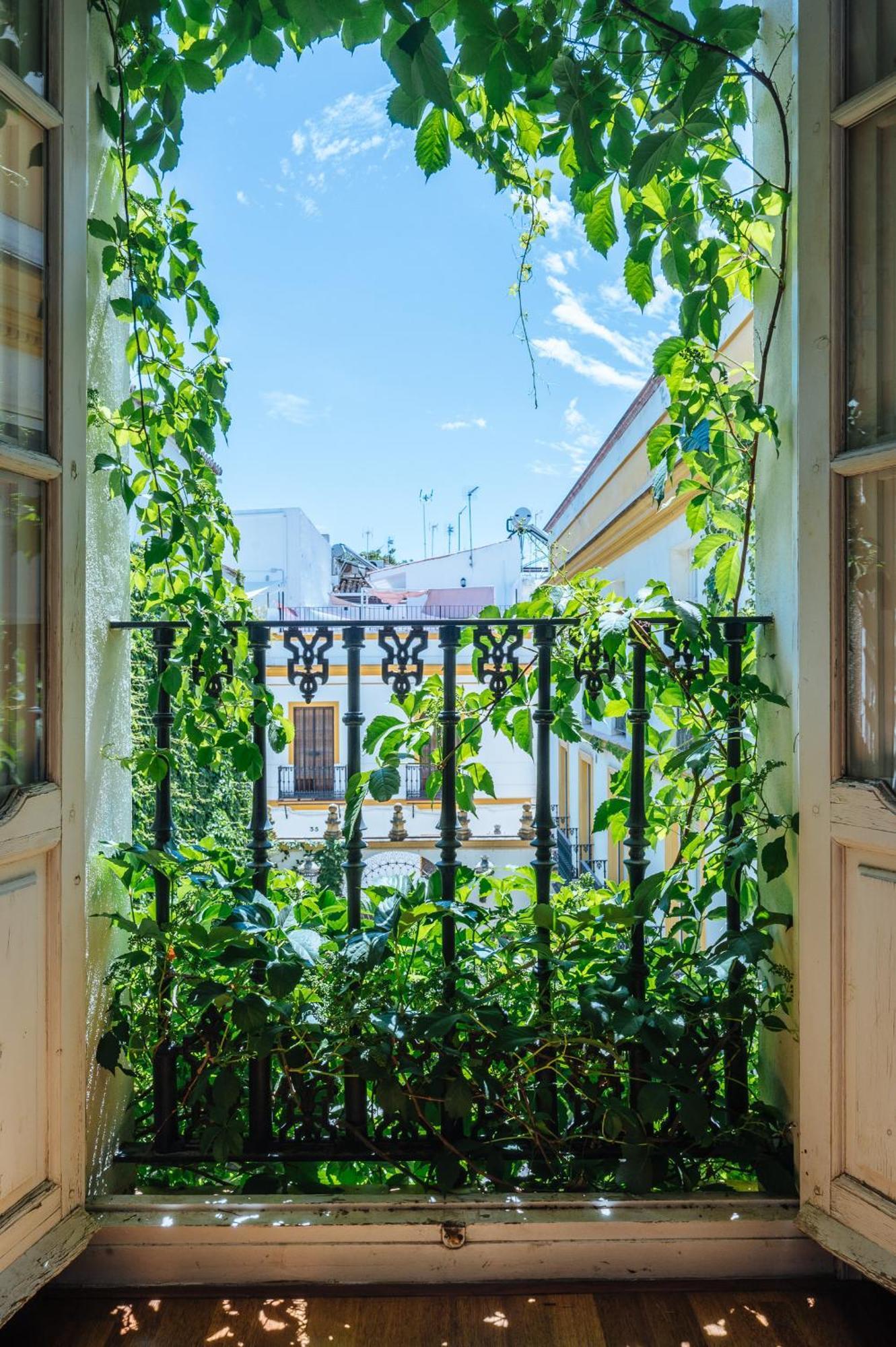 Novalia Sevilla